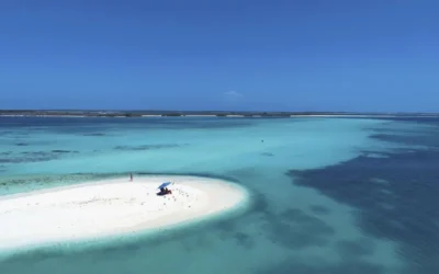 Turismo en Los Roques: Todo lo que Debes Saber Antes de Ir